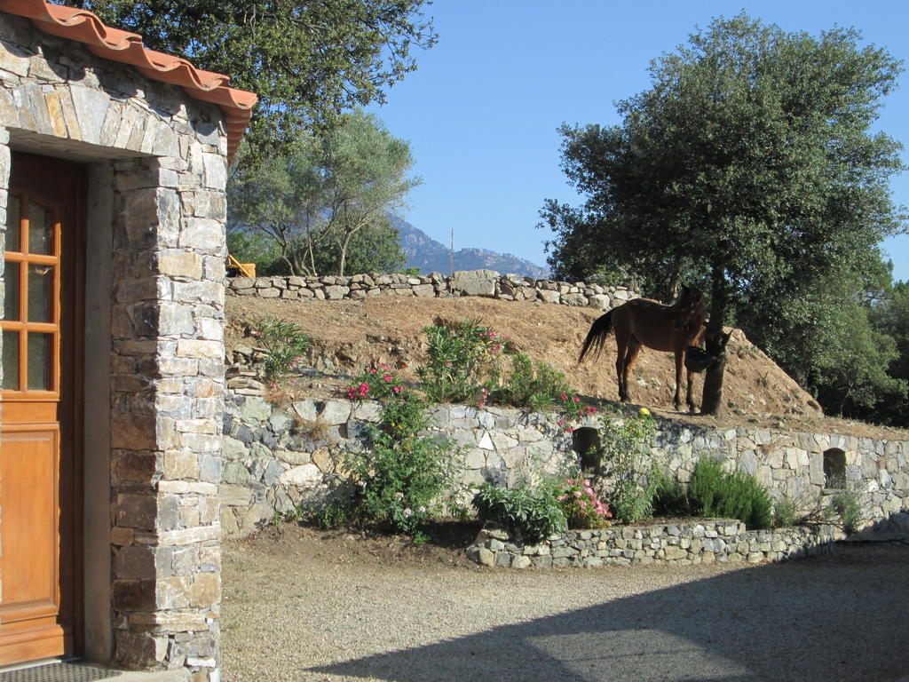 L'albadu