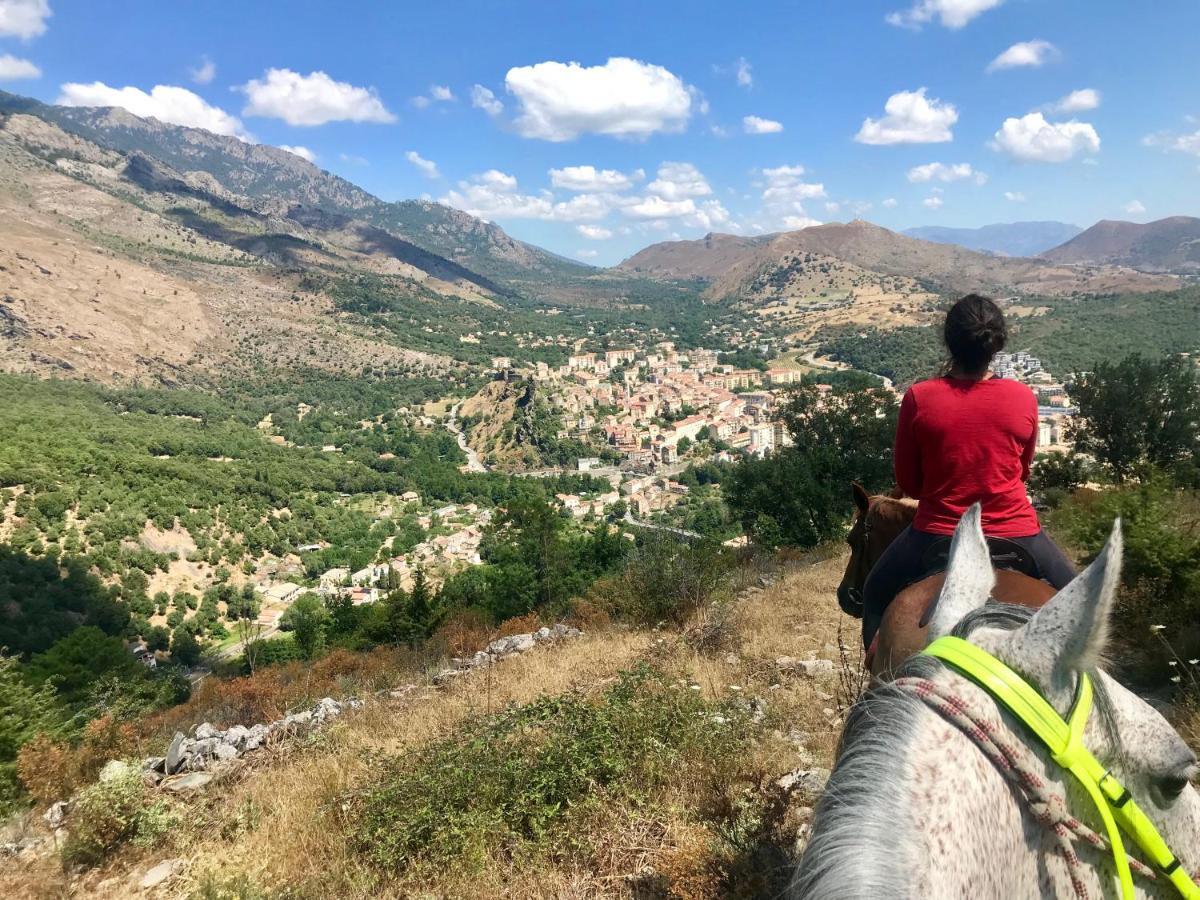 L'albadu Corte (Corsica)